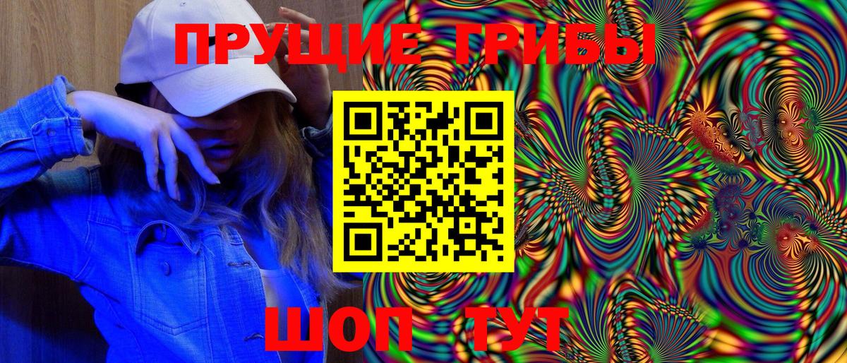 Псилоцибиновые грибы Psilocybe Новокуйбышевск